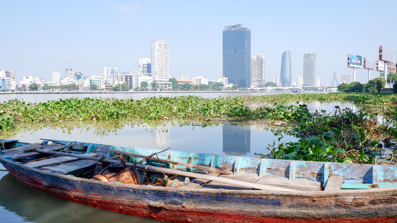 Trong đợt mưa bão số 4, một lượng lớn lục bình từ thượng nguồn đã trôi theo sông Hàn ra biển rồi dạt vào bãi biển Nguyễn Tất Thành và đã được lực lượng chức năng thu gom. Tuy nhiên, đến nay lục bình trên sông Hàn không được thu gom, nguy cơ gây ô nhiễm môi trường. Trong đợt mưa bão số 4, một lượng lớn lục bình từ thượng nguồn đã trôi theo sông Hàn ra biển rồi dạt vào bãi biển Nguyễn Tất Thành và đã được lực lượng chức năng thu gom. Tuy nhiên, đến nay lục bình trên sông Hàn không được thu gom, nguy cơ gây ô nhiễm môi trường.