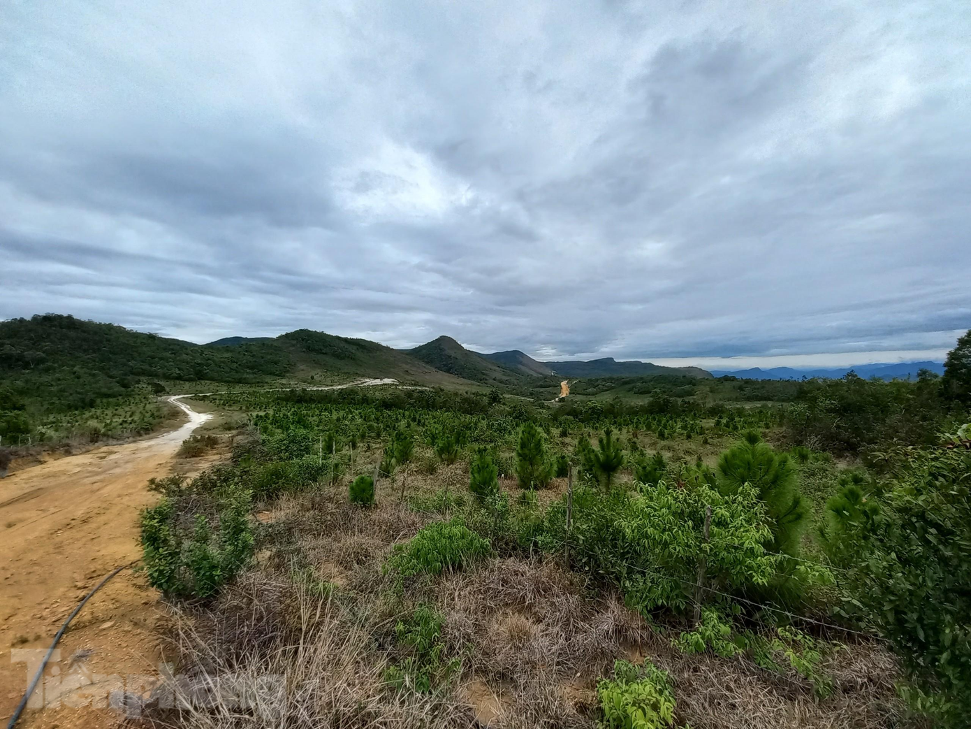 Bằng Am như một cao nguyên ở độ cao hơn 800m so với mực nước biển, khi hậu thoáng và mát mẻ. Ngoài việc yêu cầu thanh tra, Chủ tịch UBND tỉnh Quảng Nam cũng yêu cầu huyện Đại Lộc cùng với đơn vị tư vấn làm việc với Sở TN&MT, Sở Xây dựng nghiên cứu địa hình, địa chất, điều kiện tự nhiên khu vực đỉnh núi Bằng Am và khu vực lân cận để cập nhật vào hồ sơ Quy hoạch xây dựng vùng huyện Đại Lộc, đề xuất phương án quy hoạch theo hướng đầu tư phát triển du lịch thuần túy hay đầu tư phát triển thành khu đô thị dịch vụ du lịch. Bằng Am như một cao nguyên ở độ cao hơn 800m so với mực nước biển, khi hậu thoáng và mát mẻ. Ngoài việc yêu cầu thanh tra, Chủ tịch UBND tỉnh Quảng Nam cũng yêu cầu huyện Đại Lộc cùng với đơn vị tư vấn làm việc với Sở TN&MT, Sở Xây dựng nghiên cứu địa hình, địa chất, điều kiện tự nhiên khu vực đỉnh núi Bằng Am và khu vực lân cận để cập nhật vào hồ sơ Quy hoạch xây dựng vùng huyện Đại Lộc, đề xuất phương án quy hoạch theo hướng đầu tư phát triển du lịch thuần túy hay đầu tư phát triển thành khu đô thị dịch vụ du lịch.