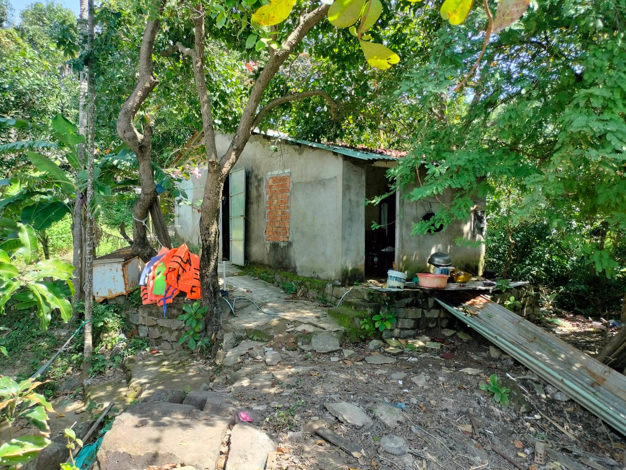 Theo UBND quận Sơn Trà, các trường hợp xây dựng trái phép trên bán đảo Sơn Trà có 3 nhóm: Công trình tồn tại trên diện tích có hợp đồng giao khoán nhưng không xác định được chủ hợp đồng giao khoán trồng rừng (11 trường hợp); Công trình tồn tại trên diện tích có hợp đồng giao khoán và xác định được chủ hợp đồng giao khoán trồng rừng (26 trường hợp) và công trình tồn tại trên diện tích không có hồ sơ giao khoán trồng rừng (21 trường hợp). Theo UBND quận Sơn Trà, các trường hợp xây dựng trái phép trên bán đảo Sơn Trà có 3 nhóm: Công trình tồn tại trên diện tích có hợp đồng giao khoán nhưng không xác định được chủ hợp đồng giao khoán trồng rừng (11 trường hợp); Công trình tồn tại trên diện tích có hợp đồng giao khoán và xác định được chủ hợp đồng giao khoán trồng rừng (26 trường hợp) và công trình tồn tại trên diện tích không có hồ sơ giao khoán trồng rừng (21 trường hợp).