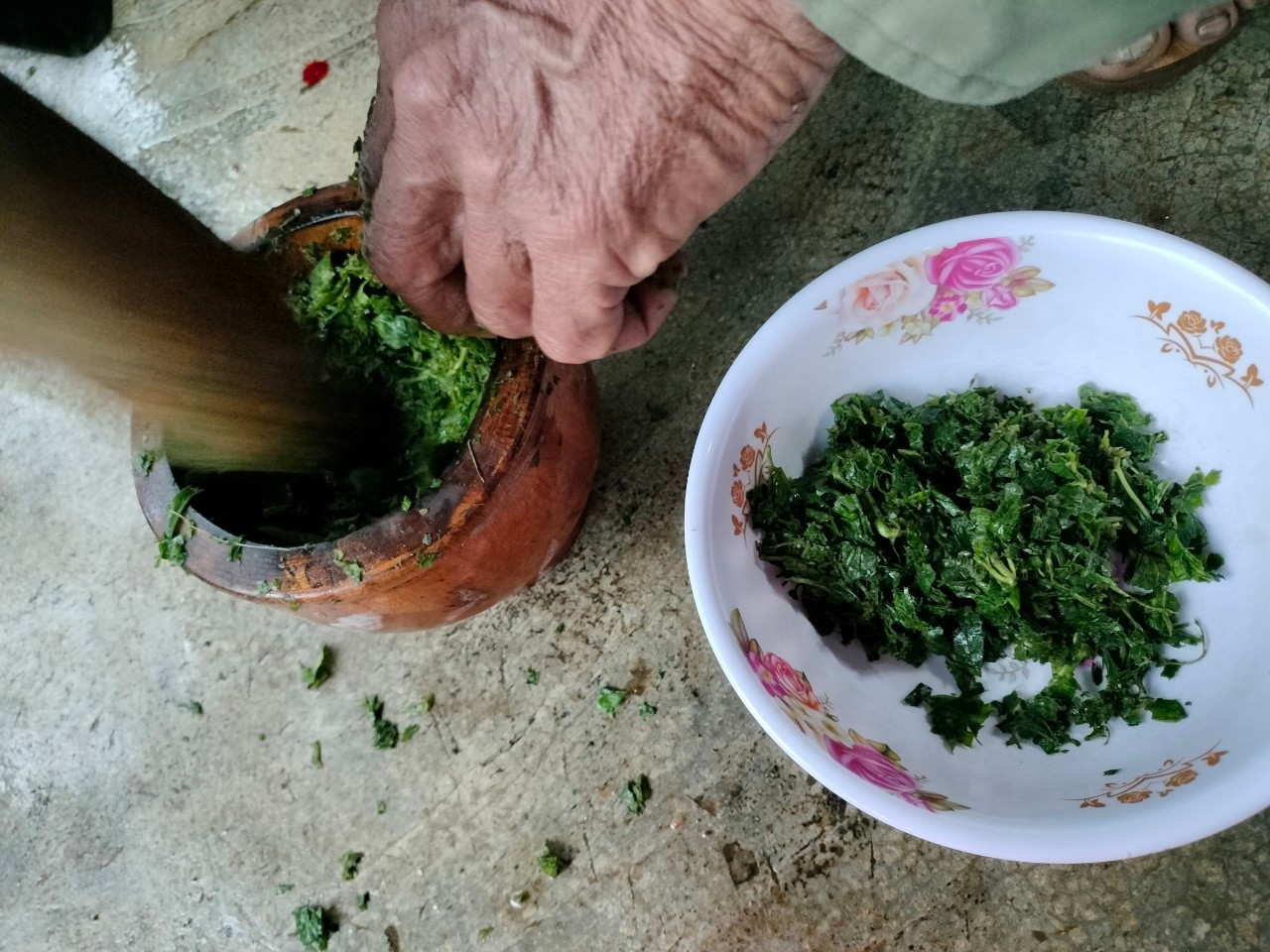 Lá cỏ lào thường được sử dụng trong y học cổ truyền với mục đích cầm máu, chữa ghẻ lở, tiêu chảy, sốt rét, viêm đại tràng, ung nhọt độc. Theo kinh nghiệm của người dân, dùng lá cỏ lào băng bịt vết thương cho hươu sau khi cắt nhung sẽ giúp hươu mau lành, chân nhung sẽ mau cứng lại.