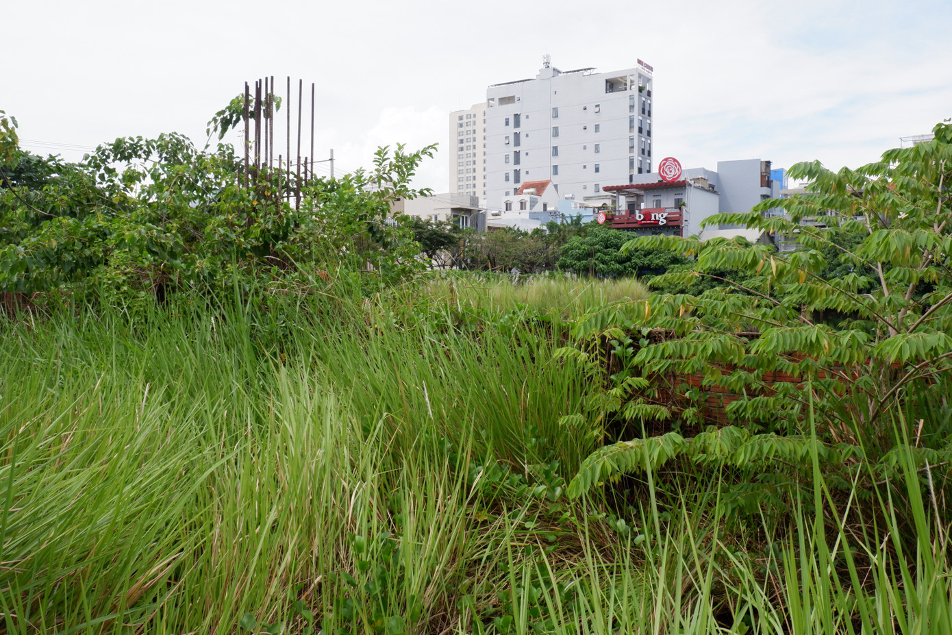 Bên trong dự án Đà Nẵng Center cỏ mọc um tùm, các cọc nhồi trơ sắt thép đã hoen rỉ. Năm 2019, UBND TP Đà Nẵng quyết định thu hồi dự án để thực hiện dự án khu vườn dạo kết hợp bãi đỗ xe ngầm. Tuy nhiên, do chi phí đền bù dự toán khoảng 850 tỷ đồng nên đã đề nghị chủ đầu tư tiếp tục triển khai dự án.