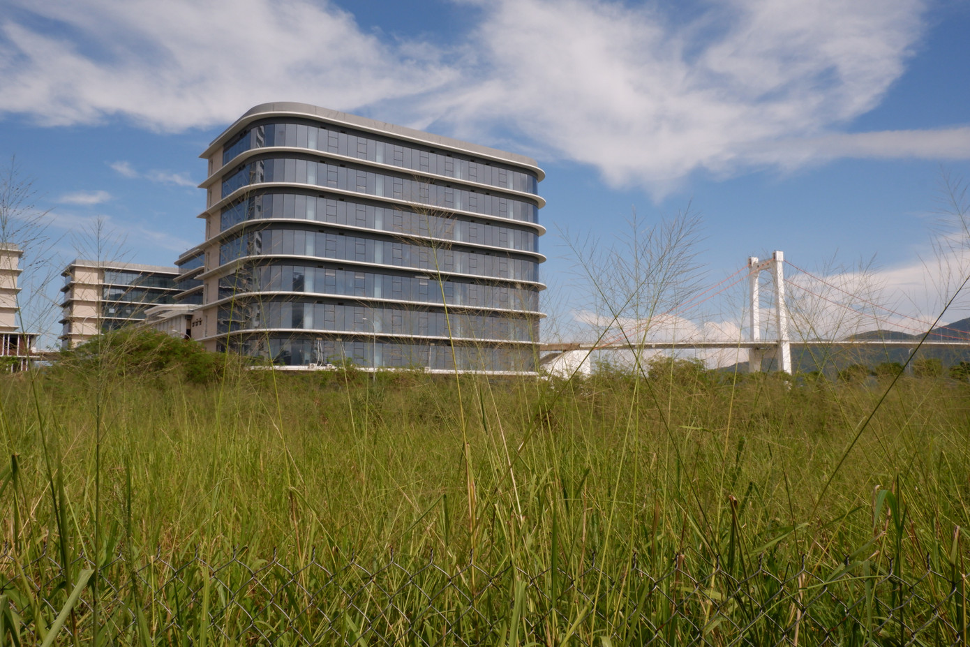 Cỏ mọc um tùm xung quanh công trình gần 1.000 tỷ đồng, trong khi nhiều doanh nghiệp trong và ngoài nước có nhu cầu mở rộng không gian sáng tạo, phát triển phần mềm tại Đà Nẵng.