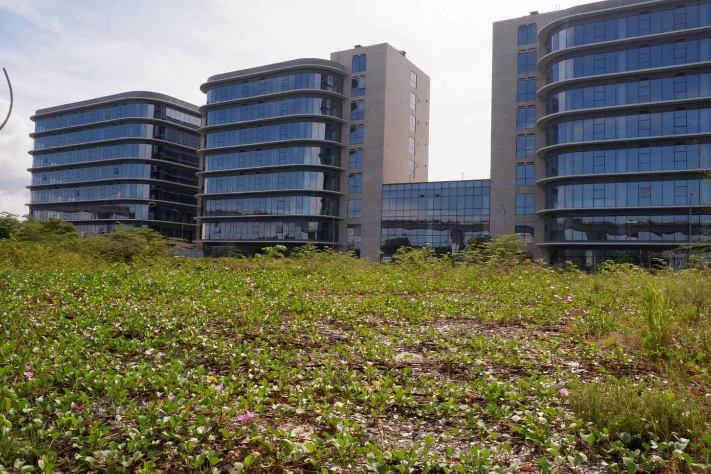 Trong khi chờ Nghị định, quy định mới về hành lang pháp lý dự án Công viên phần mềm số 2 Đà Nẵng vẫn phải bỏ không, gây lãng phí.