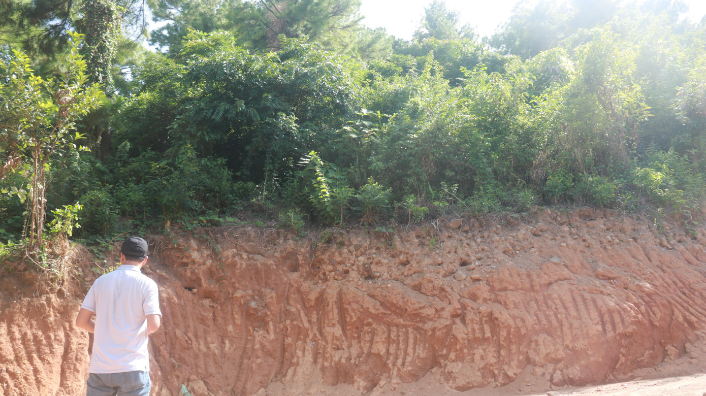 Khu vực đất rừng này được chính quyền giao khoán cho 2 hộ dân trồng rừng. Tuy nhiên, các hộ dân đã tự ý ủy quyền cho Hợp tác xã Y dược Hải Vân mở đường để thực hiện việc trồng cây dược liệu khi chưa được sự đồng ý của cơ quan chức năng.