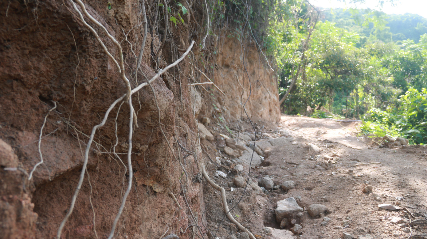 Theo lý giải của đại diện Hợp tác xã Y dược Hải Vân tại buổi làm việc với cơ quan chức năng địa phương, việc đưa phương tiện vào khu vực này để mở đường là để "phục vụ công tác trồng cây dược liệu và phòng chống cháy rừng".