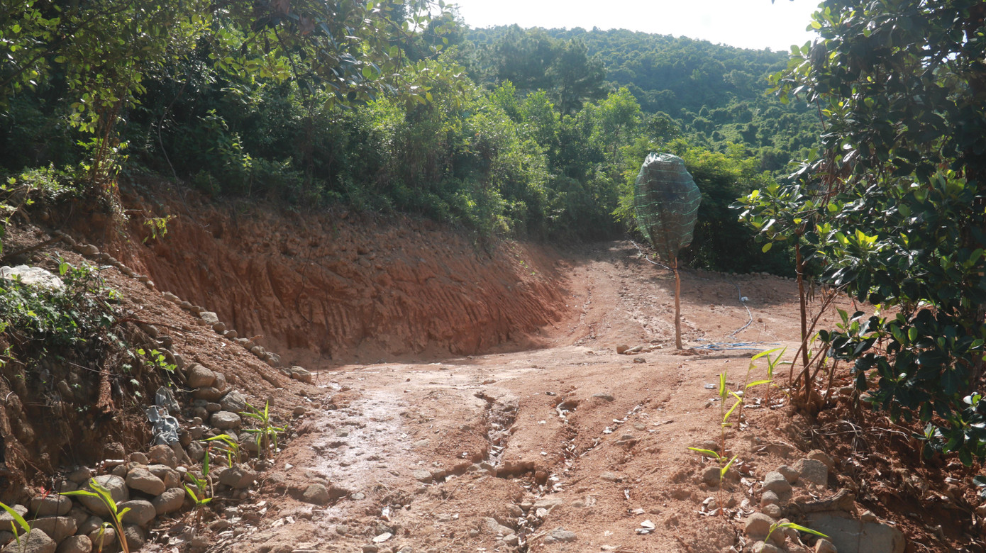 Một khu vực được đào, san ủi ngay bên cạnh cầu số 5 của tuyến đường dẫn từ hầm Hải Vân xuống Đà Nẵng. Được biết, đơn vị thực hiện san ủi, mở đường là Hợp tác xã Y dược Hải Vân (có trụ sở tại quận Liên Chiểu).