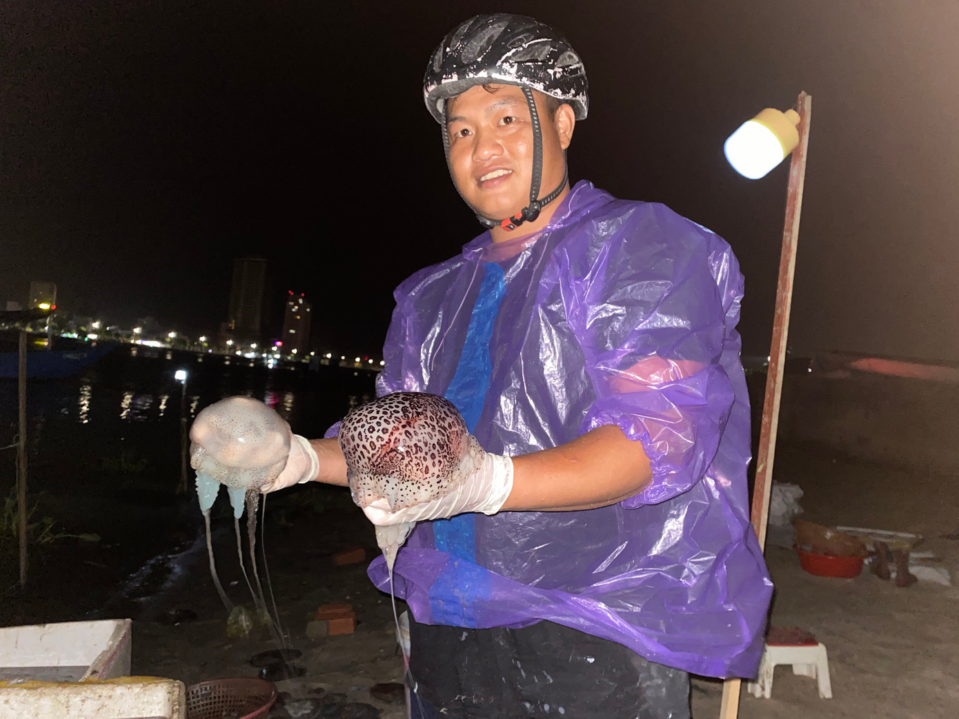 Theo ngư dân giải thích, sứa này không phải là sứa đỏ và không gây ngứa. Phần lưng sứa không được sử dụng sẽ bỏ lại ở bờ sông, trong khoảng vài tiếng đồng hồ, sứa sẽ tự tan và không gây ô nhiễm.