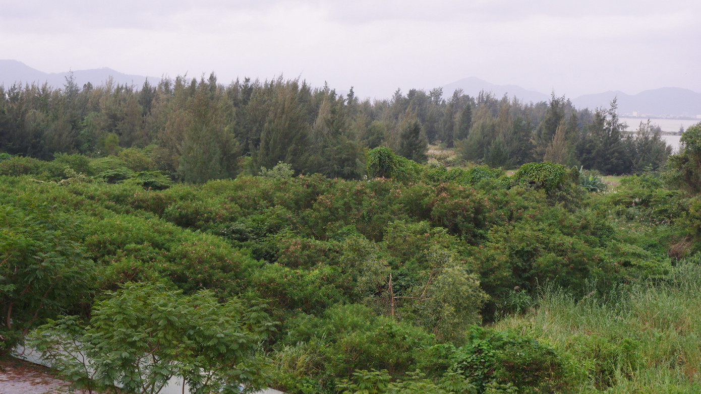 Hiện, chính quyền TP đang chờ Quốc hội xem xét thông qua Nghị quyết cơ chế chính sách đặc thù tháo gỡ khó khăn vướng mắc đối với các dự án, đất đai trong các kết luận thanh tra, kiểm tra, bản án tại một số địa phương, trong đó có Đà Nẵng. Việc tháo gỡ các vướng mắc tồn tại các kết luận thanh tra, bản án là vấn đề rất quan trọng trong việc chống lãng phí ở Đà Nẵng hiện nay.