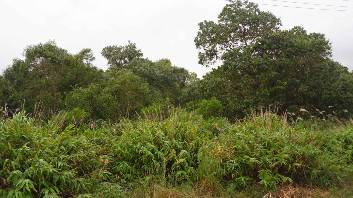 Các vướng mắc vượt thẩm quyền nên chính quyền thành phố đã báo cáo lên cấp cao hơn để xin ý kiến chỉ đạo, tháo gỡ các khó khăn trong việc thực hiện thu hồi dự án theo kết luận và bản án.