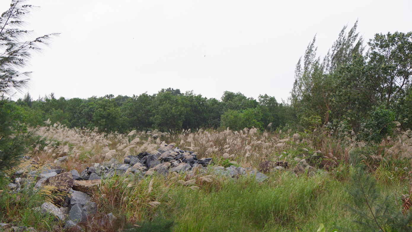 Theo Kết luận của Thanh tra Chính phủ, việc triển khai, thực hiện dự án khu đô thị Đa Phước đã có nhiều vi phạm. Cụ thể, việc UBND TP. Đà Nẵng và các ban ngành ký thỏa thuận với Công ty TNHH Daewon Cantavil thời điểm 2006 có một số nội dung không đúng quy định của pháp luật: xác định tiền thuê đất và mặt nước (dự án 181 ha chỉ phải nộp 10 triệu USD trong 50 năm cho 145 ha đất) không có cơ sở, không bị điều chỉnh trong suốt thời gian hoạt động của dự án...