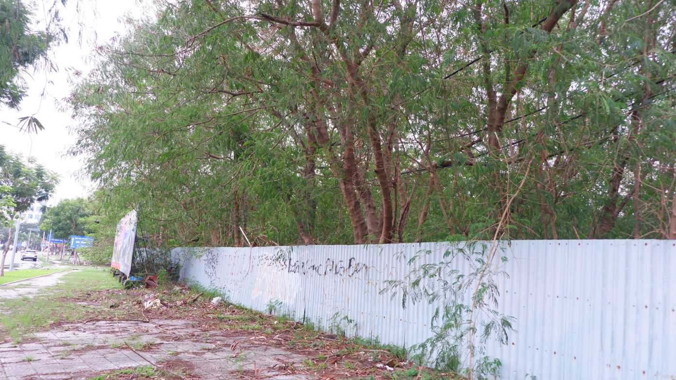 Hàng rào bao bọc quanh dự án 181 ha tại khu đô thị quốc tế Đa Phước dọc đường Nguyễn Tất Thành, bên trong là cây cối đã mọc thành rừng.