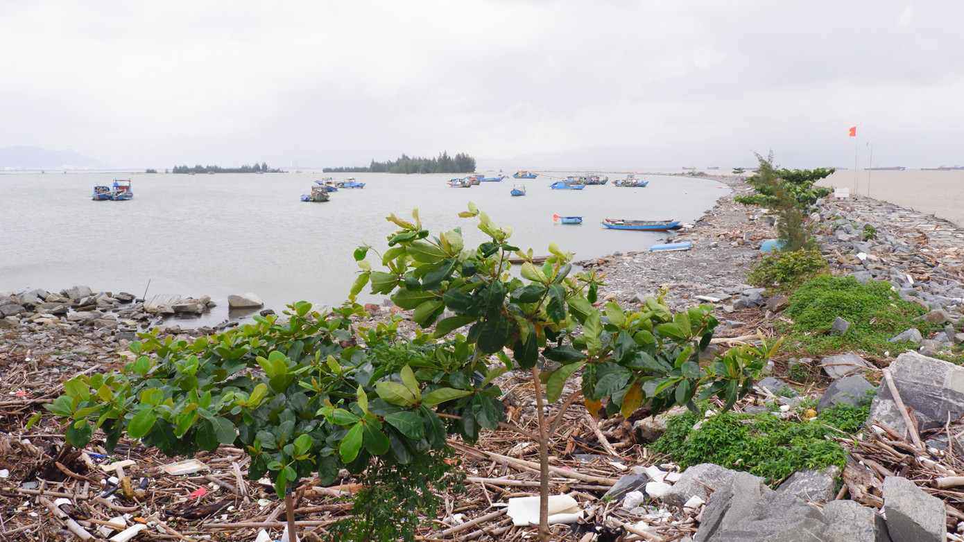 Đáng chú ý, dự án phải lấn biển với lượng đất, cát đào, lấp khổng lồ nhưng theo kết luận chủ đầu tư không lập báo cáo đánh giá tác động môi trường.