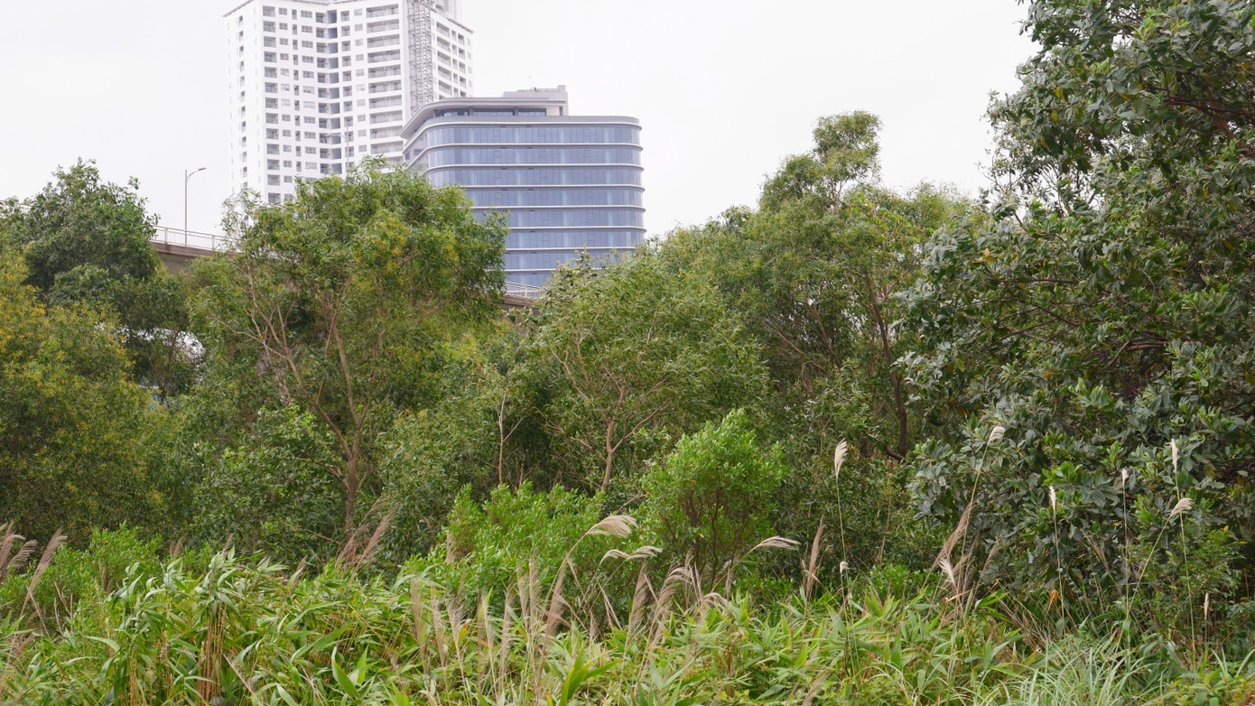 Dự án bỏ hoang, lãng phí, gây mất cảnh quan đô thị kéo dài khiến cử tri thành phố bức xúc nhiều lần phản ánh lên các diễn đàn của HĐND TP. Đà Nẵng. Cụ thể, người dân kiến nghị về việc xem xét cấp giấy chứng nhận quyền sử dụng đất và tài sản gắn liền trên đất tại dự án này; kiến nghị TP giải quyết cho Công ty TNHH The Sunrise Bay tiếp tục triển khai xây dựng dự án Khu đô thị quốc tế Đa Phước để giao cho người dân đã mua nhà tại đây.