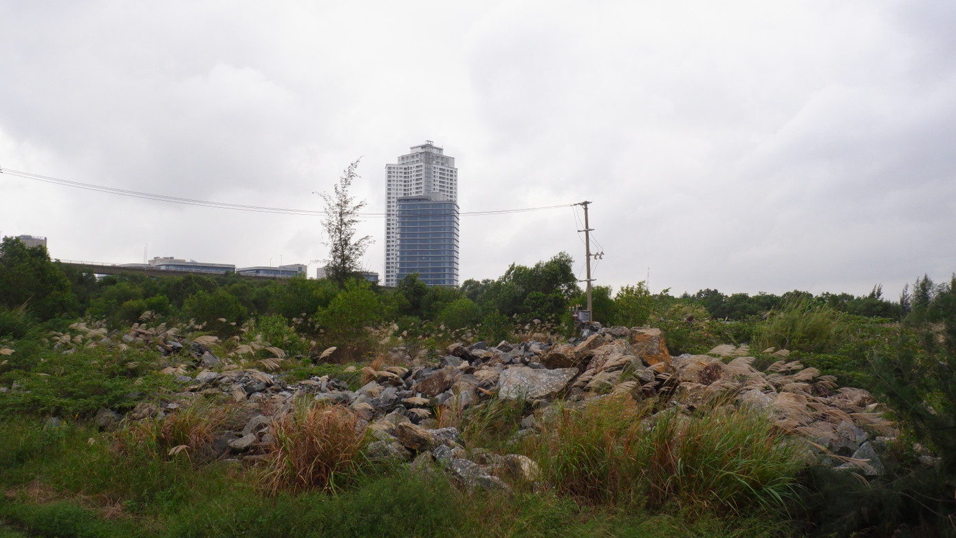 Kết luận của Thanh tra Chính phủ giao cho TP Đà Nẵng và các ngành thực hiện nội dung chính là thu hồi dự án này đảm bảo đúng quy định của pháp luật và quyền lợi của cư dân đã mua, đặt chỗ, đặt cọc, góp vốn với chủ đầu tư trong khu vực dự án. Tuy nhiên, trong quá trình triển khai thực hiện, các ngành chức năng TP. Đà Nẵng đã gặp nhiều vướng mắc, khó khăn để thu hồi 181 ha Khu đô thị Đa Phước.