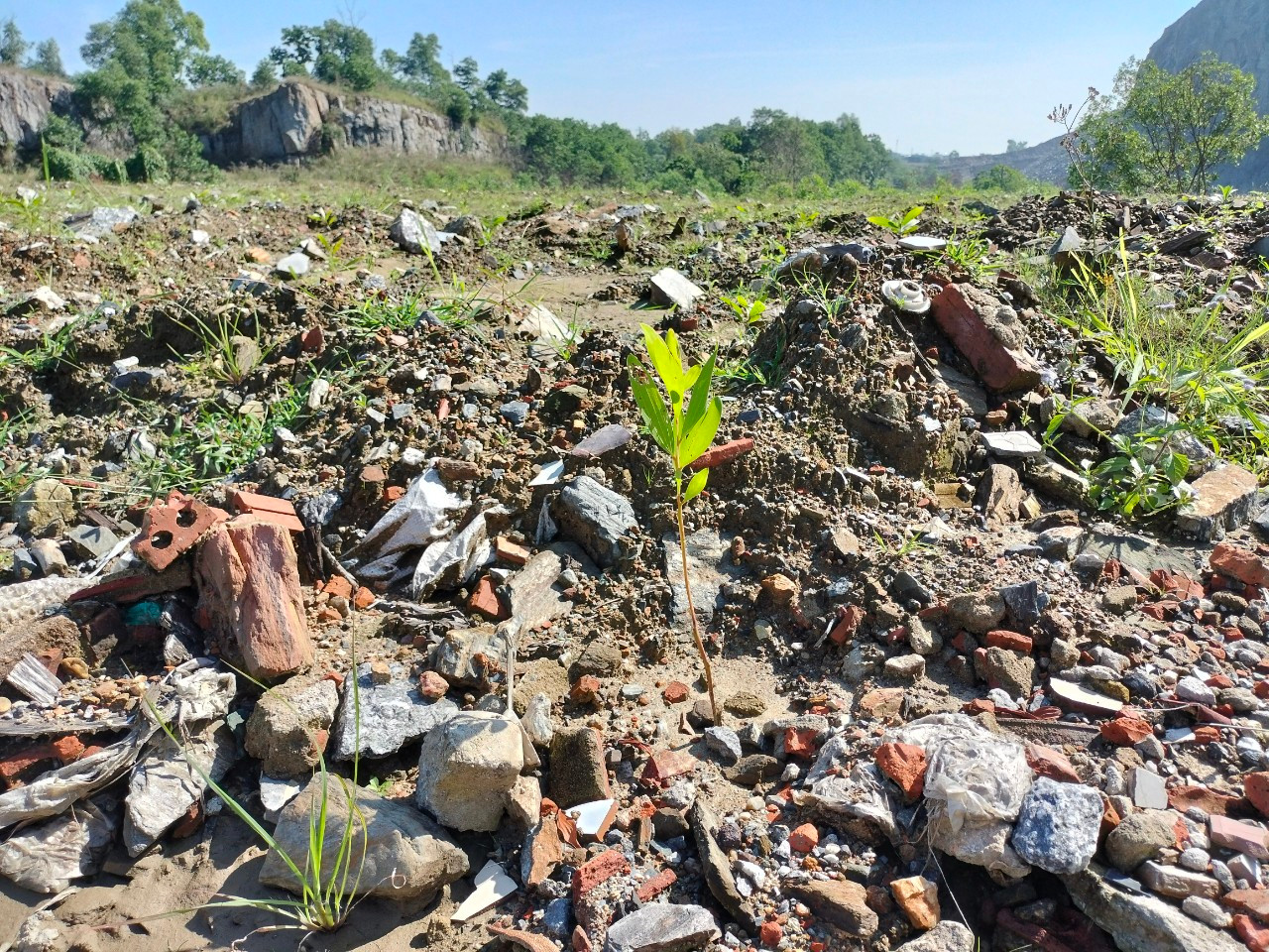 Tại nhiều mỏ đá, sau khi hoàn thổ, các chủ mỏ trồng cây phủ xanh nhưng do địa hình và dùng đá san lấp tạo mặt bằng nên cây không thể phát triển. Theo Sở TN&amp;MT TP Đà Nẵng, quy định hiện hành là các chủ mỏ ký quỹ phục hồi môi trường trước khi tiến hành khai thác mỏ. Riêng Đà Nẵng, từ năm 2015 đến nay đã thu thêm mỗi chủ mỏ 500 triệu đồng tiền cược. Hết hạn khai thác, các chủ mỏ chỉ được lấy lại tiền ký quỹ và tiền cược khi đã được nghiệm thu hoàn thành việc phục hồi môi trường. Nếu không, Đà Nẵng sẽ sử dụng 2 khoản tiền này để đấu thầu thuê đơn vị khắc phục hồi.