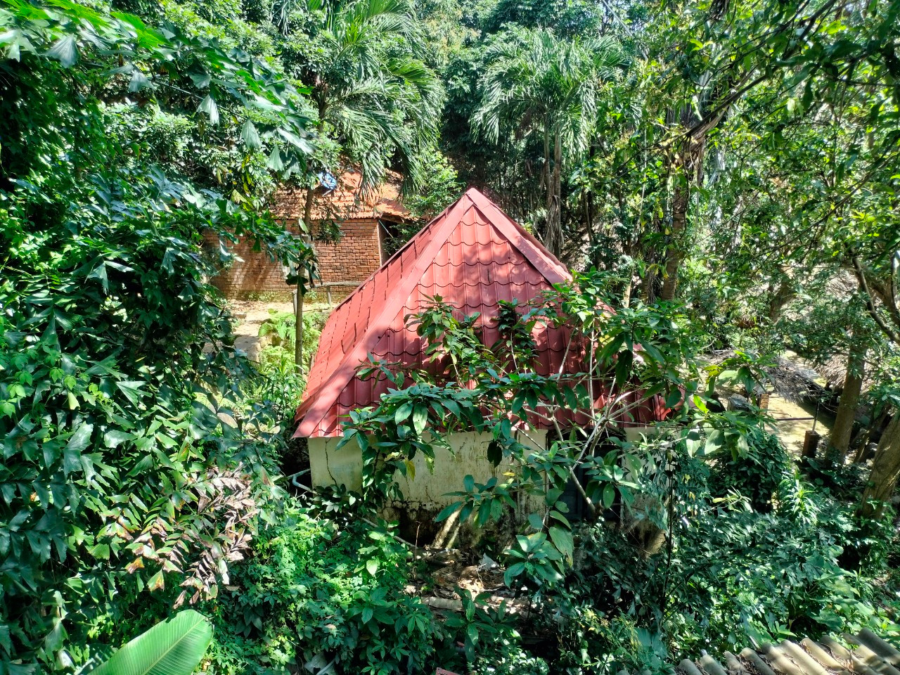 Lãnh đạo UBND quận Sơn Trà cho biết: Đã phân loại, lên kế hoạch, phương án để xử lý với 58 trường hợp xây dựng trái phép ở bán đảo Sơn Trà; phấn đấu đến năm 2025 sẽ dứt điểm xử lý xong công trình trái phép. Lãnh đạo UBND quận Sơn Trà cho biết: Đã phân loại, lên kế hoạch, phương án để xử lý với 58 trường hợp xây dựng trái phép ở bán đảo Sơn Trà; phấn đấu đến năm 2025 sẽ dứt điểm xử lý xong công trình trái phép.