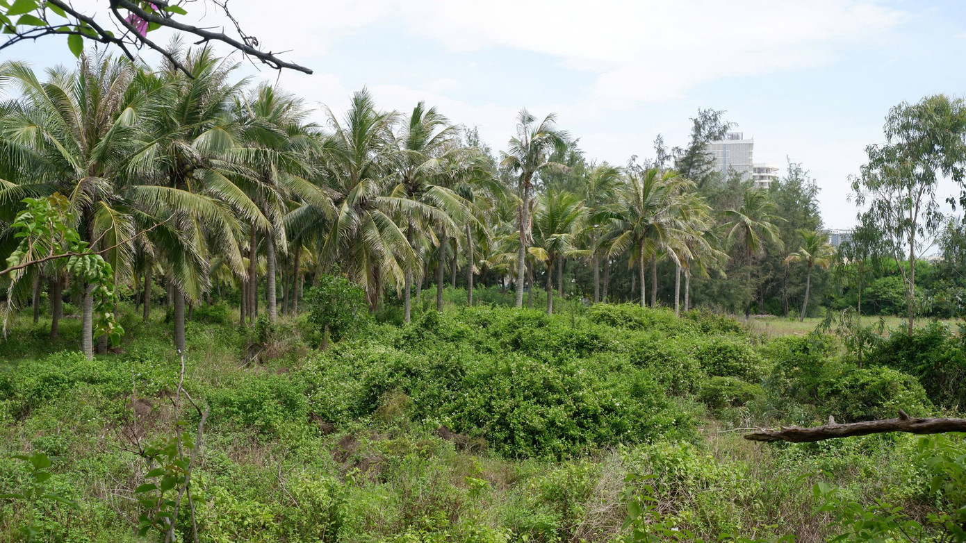 Bên trong dự án Hòn Ngọc Á Châu là cảnh bỏ hoang. Đầu năm 2010, chủ đầu tư đã làm lễ khởi công giai đoạn 1 với các hạng mục chính gồm biệt thự, căn hộ cao cấp, khu tổ chức hội nghị, hội thảo, nhà hàng... Tuy nhiên, dự án mới xây dựng tường bao rồi bỏ hoang đến nay.