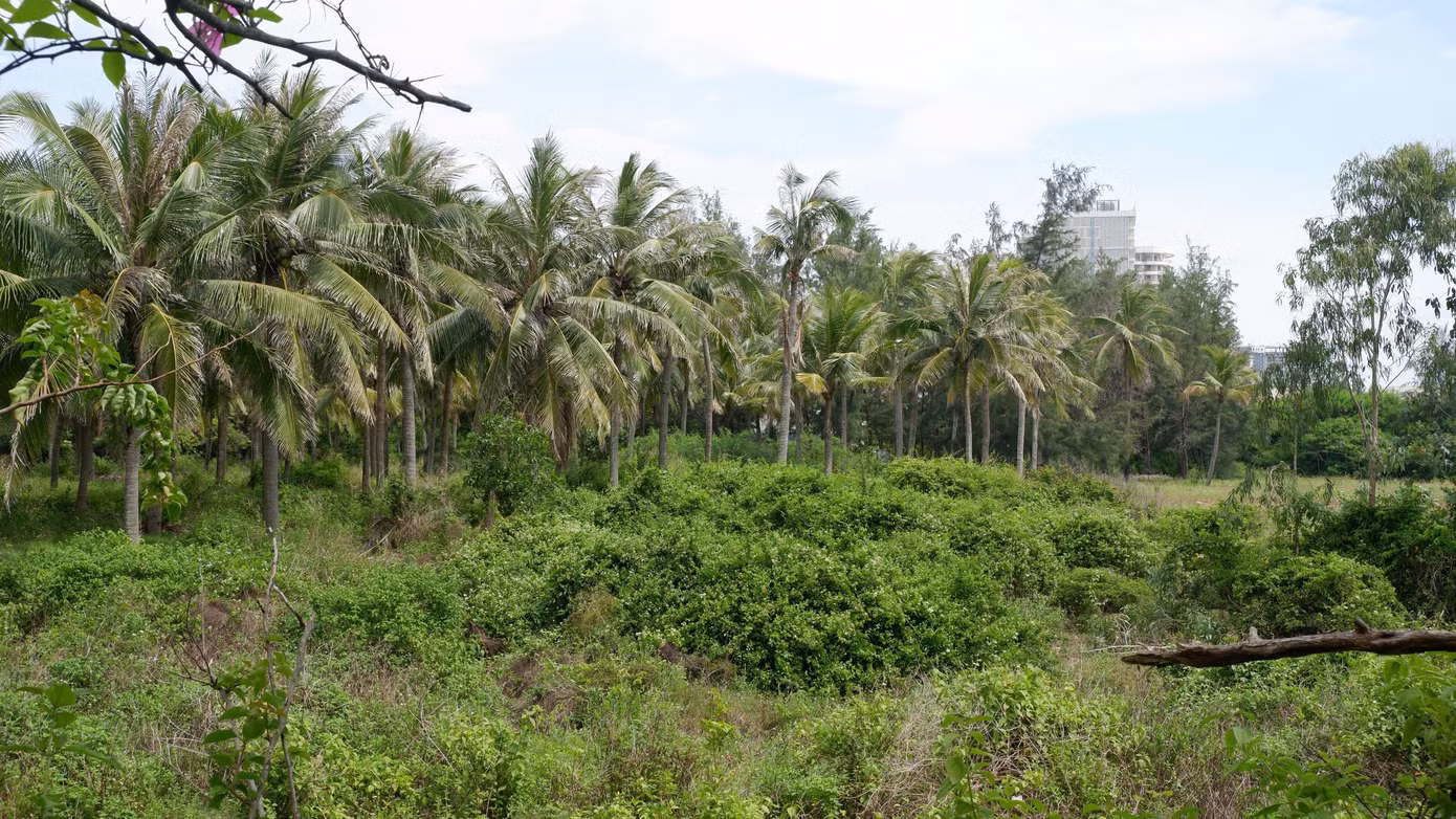 Bên trong dự án Hòn Ngọc Á Châu là cảnh bỏ hoang. Đầu năm 2010, chủ đầu tư đã làm lễ khởi công giai đoạn 1 với các hạng mục chính gồm biệt thự, căn hộ cao cấp, khu tổ chức hội nghị, hội thảo, nhà hàng... Tuy nhiên, dự án mới xây dựng tường bao rồi bỏ hoang đến nay.