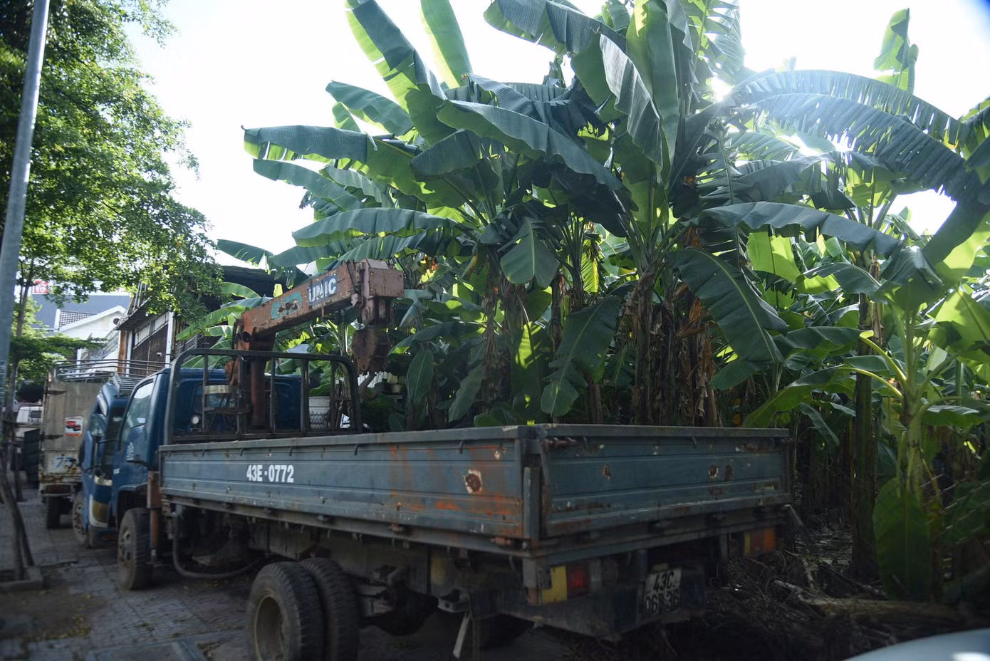 Hiện trạng khu đất tại 62 Tôn Đức Thắng đang được bỏ hoang. Theo tìm hiểu, sau khi được phép chuyển sang hình thức giao đất có thu tiền sử dụng đất và chuyển đổi mục đích sử dụng đất, Công ty Cổ phần Lương thực Đà Nẵng đã chuyển nhượng 7 lô đất cho cá nhân và mang 1 lô đất góp vốn kinh doanh để hình thành pháp nhân mới. Việc chuyển nhượng, góp vốn kinh doanh đã mang lại cho doanh nghiệp khoản chênh lệch và thu lợi hơn 13,6 tỉ đồng.