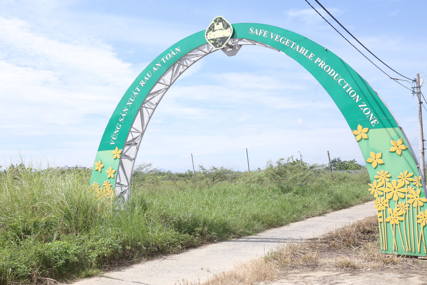 Nằm ở bãi bồi ven sông Cẩm Lệ, làng rau La Hường (phường Hòa Thọ Đông, quận Cẩm Lệ) là làng rau sạch lớn nhất của Đà Nẵng, với diện tích hơn 7ha và hơn 50 hộ tham gia sản xuất. Hơn tháng qua, nắng nóng kéo dài khiến nước sông bị nhiễm mặn, đã ảnh hưởng đến việc sản xuất rau sạch của bà con nông dân nơi đây. Nằm ở bãi bồi ven sông Cẩm Lệ, làng rau La Hường (phường Hòa Thọ Đông, quận Cẩm Lệ) là làng rau sạch lớn nhất của Đà Nẵng, với diện tích hơn 7ha và hơn 50 hộ tham gia sản xuất. Hơn tháng qua, nắng nóng kéo dài khiến nước sông bị nhiễm mặn, đã ảnh hưởng đến việc sản xuất rau sạch của bà con nông dân nơi đây.