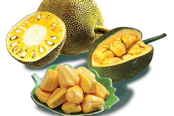 Những người mắc bệnh này đừng ăn mít vì cực kỳ độc ảnh 2