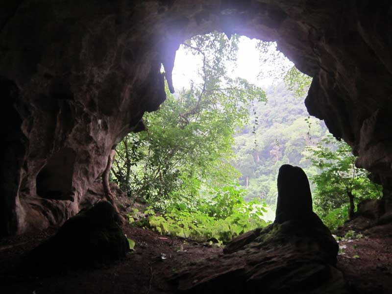 Cửa hang từ bên trong nhìn ra. Cửa hang từ bên trong nhìn ra