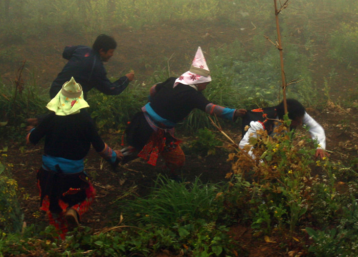 Một số dân tộc thiểu số ở vùng núi phía Bắc có tục ăn trộm sau giao thừa để làm gì?