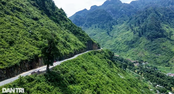 Cây cô đơn Hà Giang nằm ven quốc lộ 4C.