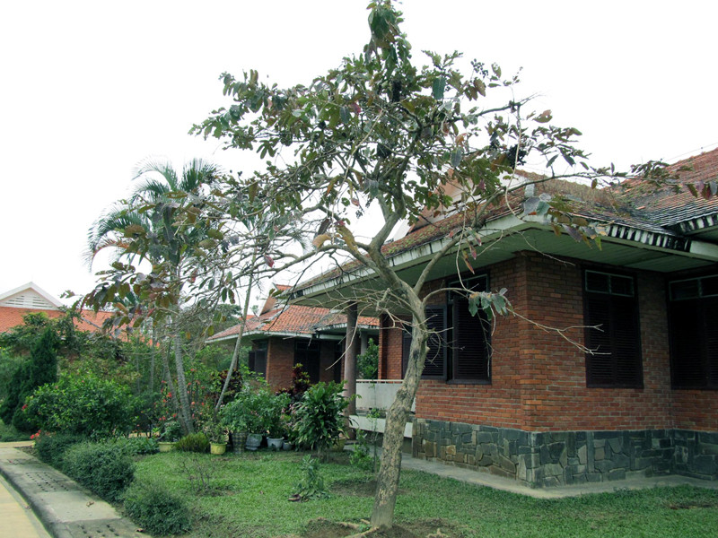 Làng S.O.S với những ngôi nhà như resort Ảnh: Nam Cường