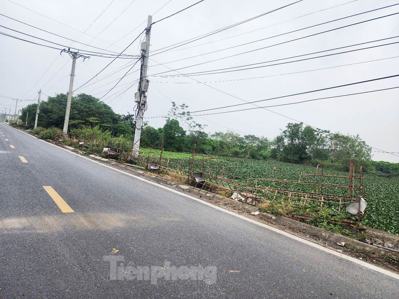 Một số đoạn không có cọc tiêu nhưng ven đường là ao hồ. Vì thế, người dân tự làm hàng rào để hạn chế nguy cơ tai nạn.