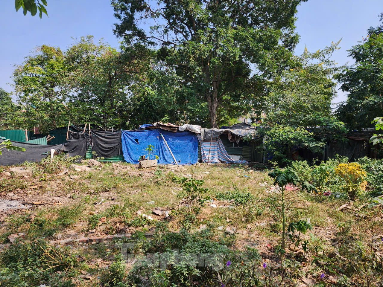 Tuy nhiên, đến nay thành phố vẫn chưa có quyết định giao đất cho doanh nghiệp. Cùng với đó, có thể là những khó khăn về vốn nên đơn vị không mặn mà triển khai. Vì thế, hàng chục năm qua, nơi đây vẫn là bãi đất trống, cỏ mọc um tùm. Thậm chí, nhiều người còn đem rác thải đổ tại khu đất này, gây ô nhiễm môi trường.