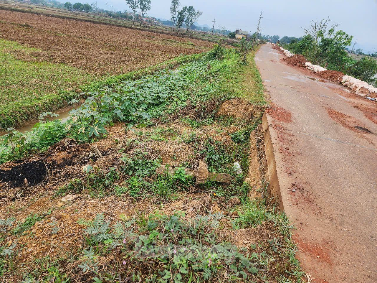 UBND thành phố Hà Nội cho biết, diễn biến sự cố sạt lở mái đê, thân đê, nứt mặt đê trên các tuyến đê hữu Bùi, Bùi 2, Gò Khoăm, sạt lở bờ sông Bùi trên địa bàn huyện Chương Mỹ đã phát triển cả chiều rộng, bề sâu và chiều dài trong thời gian mưa bão. Điều này gây nguy cơ mất an toàn cho các tuyến đê ảnh hưởng trực tiếp đến an toàn của người và phương tiện tham gia giao thông.