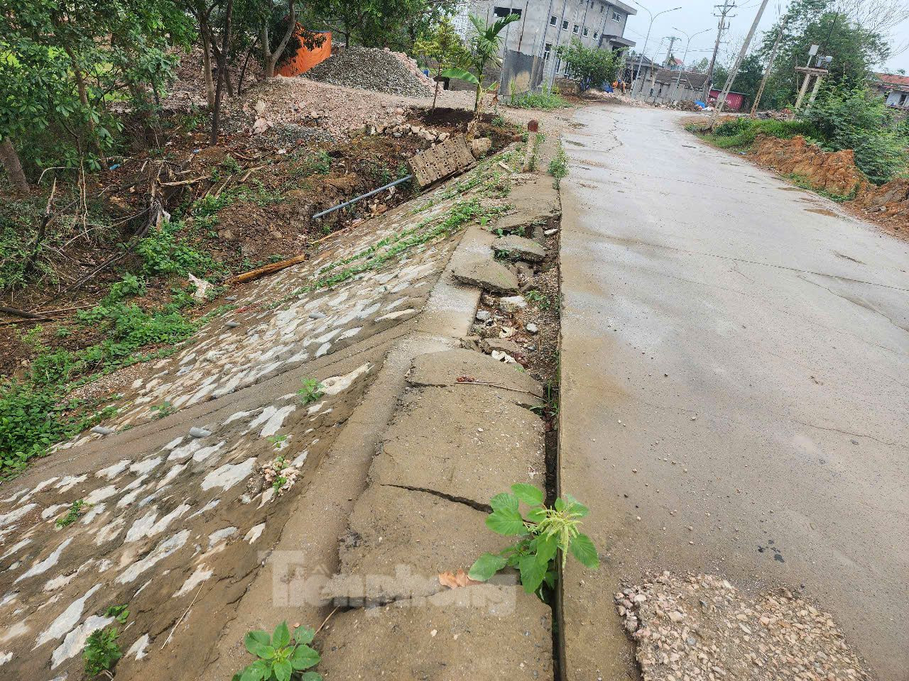 Mái đê bị sạt.