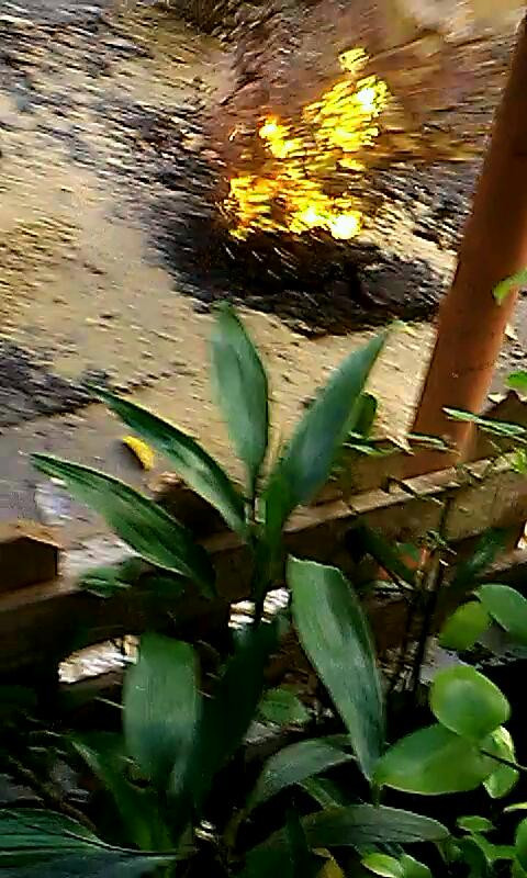 Lửa bốc lên từ miệng hố