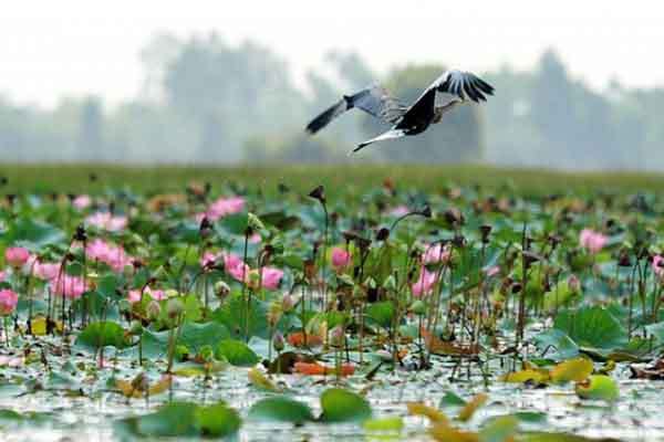 Đồng Tháp được sáp nhập từ hai tỉnh nào?