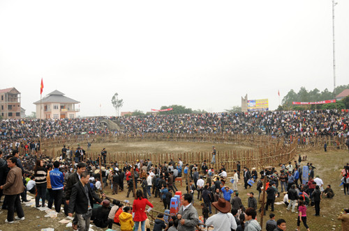 Sân chọi trâu Hải Lựu với sức chứa bốn nghìn chỗ ngồi không còn một chỗ trống