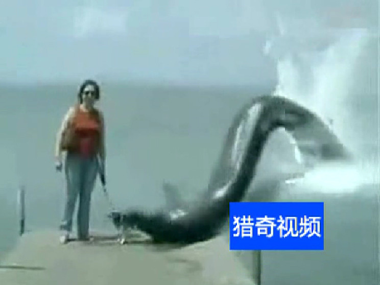 Ảnh chụp từ video