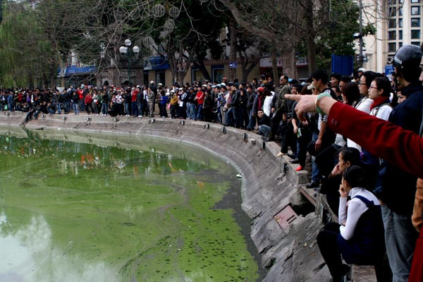 Hàng nghìn người dẫn đứng kín quanh hồ xem 'cụ' rùa đang trong cảnh thoi thóp