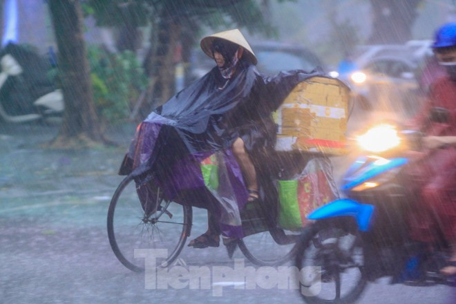 Bị cây si cổ thụ đổ trúng người, nam thanh niên tử vong tại chỗ ảnh 2