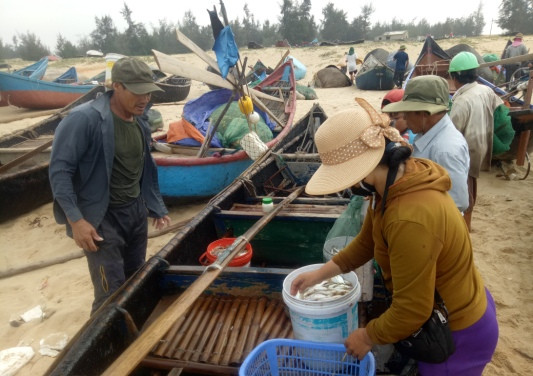 Chuyện về một làng chài thèm cá biển ảnh 4