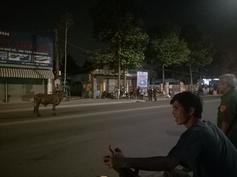 Bò ‘điên’ đại náo trên phố, húc nhiều người bị thương ở Thủ Dầu Một ảnh 2