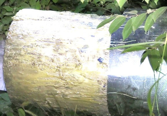 Tình tiết bất ngờ vụ thi thể người phi tang trong bê tông ở Bình Dương ảnh 2