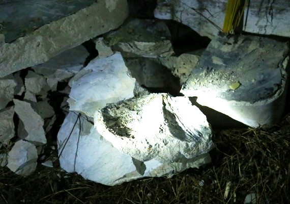 Chấn động vụ xác chết trong thùng trộn bê tông: Phát hiện thêm thi thể ảnh 1