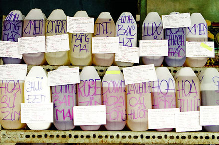 Ảnh minh họa - Internet. Ảnh minh họa - Internet