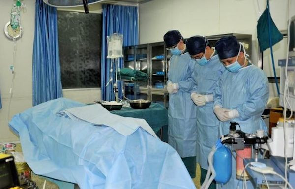 Cư dân mạng xót thương cậu bé chấp nhận chết để cứu mẹ ảnh 2