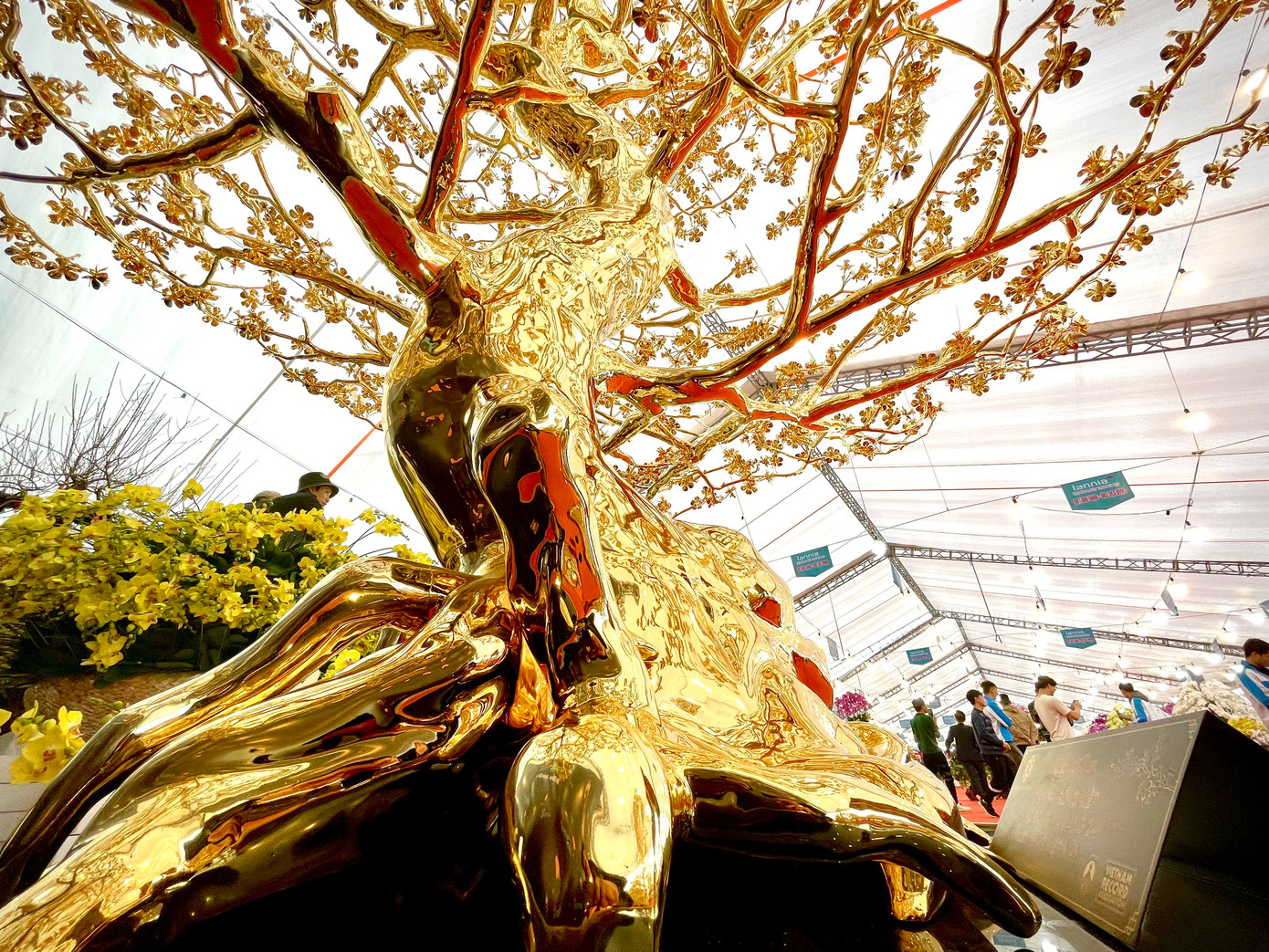 Nói về ý nghĩa tên "Mai Rồng Việt", anh Định cho biết: "Cây mô tả vẻ đẹp của hoa mai vàng nở rộ, là biểu tượng cho sự giàu sang, phú quý và một cuộc sống ngập tràn may mắn, thịnh vượng. Thân mai với dáng Rồng uốn lượn hình chữ "S" uyển chuyển, quyền uy, linh thiêng, mang đến nguồn sức mạnh trường tồn, thể hiện tự tôn dân tộc về truyền thuyết Con rồng cháu tiên".