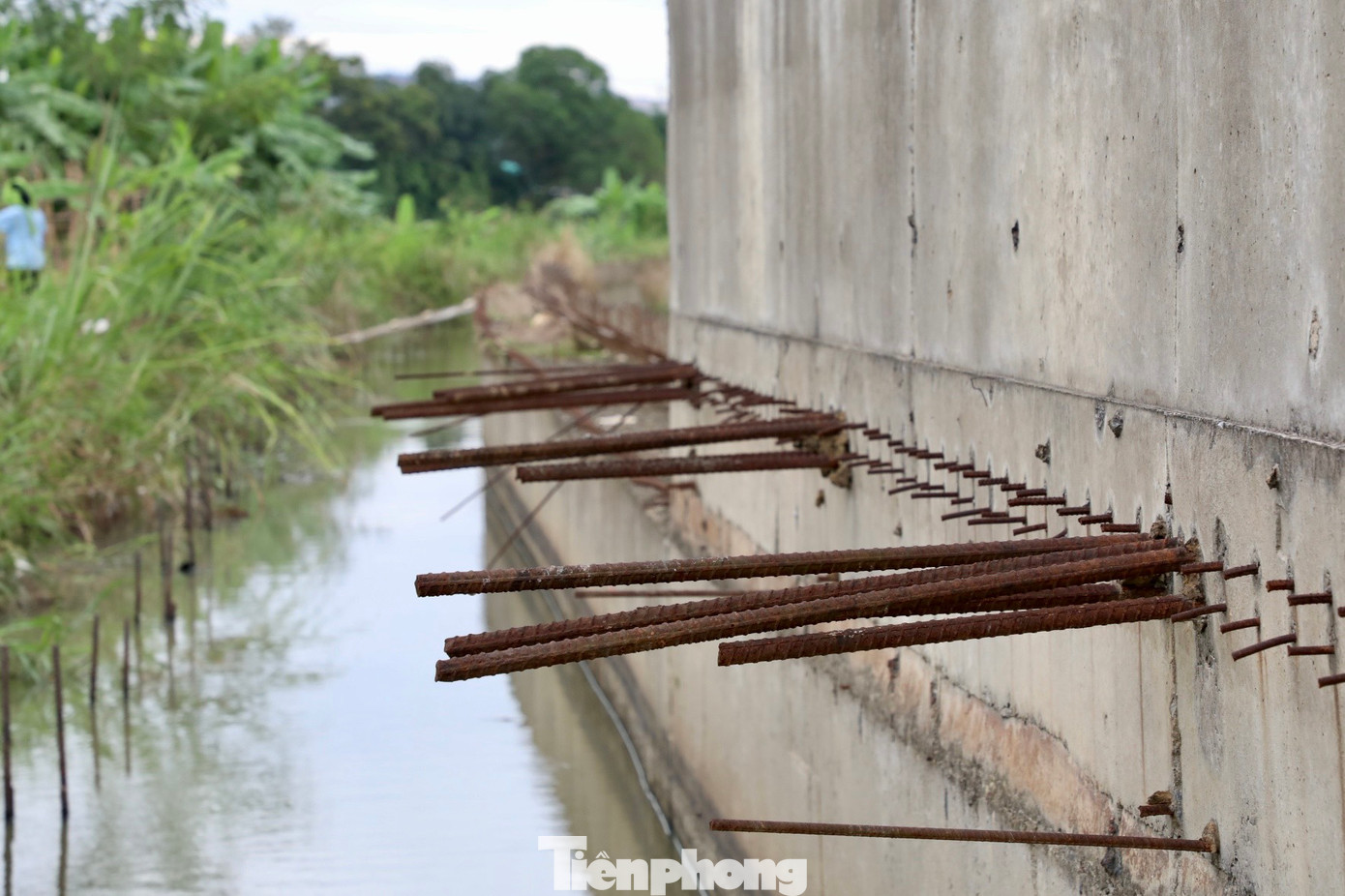 Nhiều lõi thép dài đã bị kẻ gian cưa cụt.