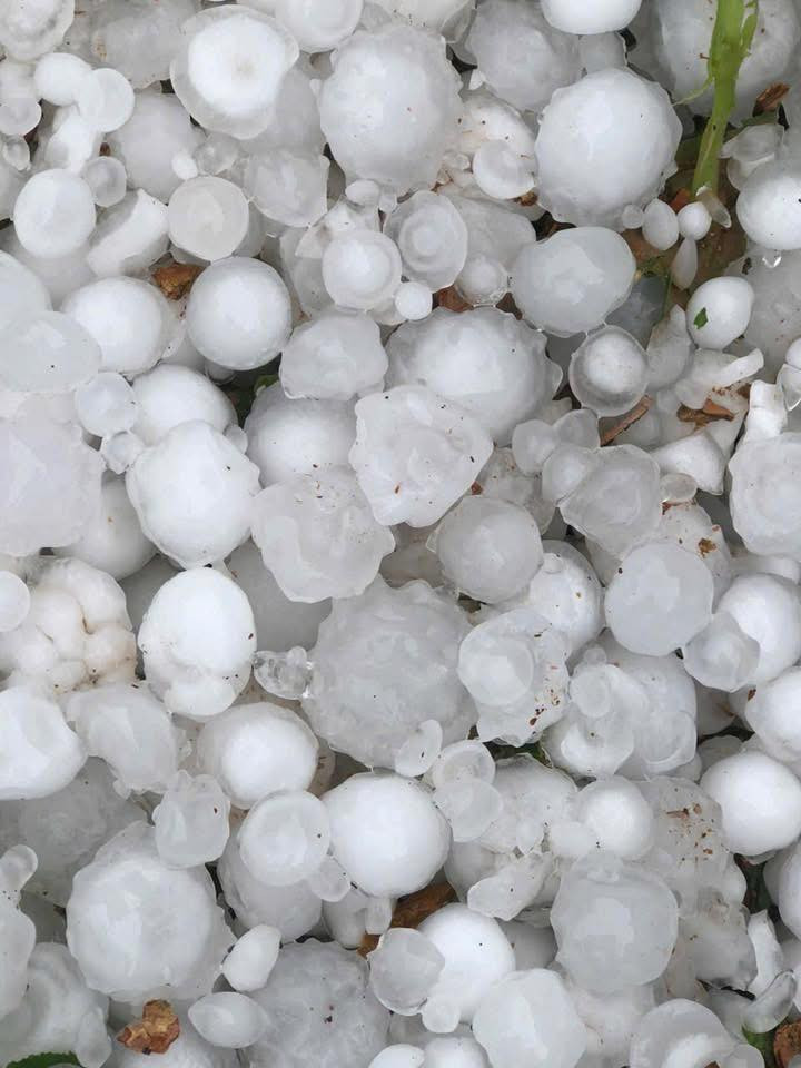 Mưa đá xảy ra tại Mèo Vạc, Hà Giang khiến nhiều mái nhà bị thủng. Ảnh: NDCC.