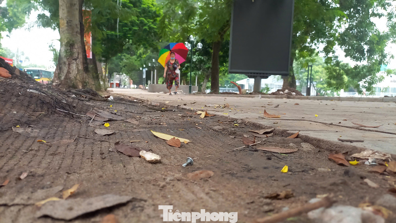 Theo những người dân xung quanh khu vực, những lần sau khi có chương trình, lễ hội được tổ chức tại đây, đều xảy ra tình trạng này. Bà Nguyễn Thị Hường, (72 tuổi, phố Trần Bình Trọng, quận Hai Bà Trưng, Hà Nội) cho biết: "Vì phải đón cháu đang học ở trường THCS Tây Sơn nên tôi thường xuyên đi qua khu vực này. Cứ sau khi tổ chức chương trình tại phố đi bộ, tình trạng này lại xảy ra. Chính tôi cũng đã mấy lần dẫm phải đinh". Theo những người dân xung quanh khu vực, những lần sau khi có chương trình, lễ hội được tổ chức tại đây, đều xảy ra tình trạng này. Bà Nguyễn Thị Hường, (72 tuổi, phố Trần Bình Trọng, quận Hai Bà Trưng, Hà Nội) cho biết: "Vì phải đón cháu đang học ở trường THCS Tây Sơn nên tôi thường xuyên đi qua khu vực này. Cứ sau khi tổ chức chương trình tại phố đi bộ, tình trạng này lại xảy ra. Chính tôi cũng đã mấy lần dẫm phải đinh".