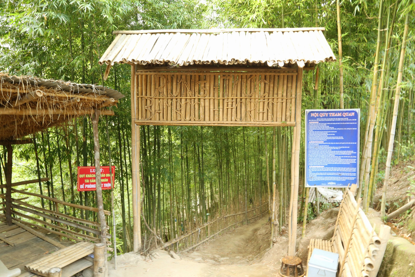 Từ quốc lộ 32, du khách cần di chuyển thêm 3,5 km để lên đỉnh đồi thuộc xã Mồ Dề, huyện Mù Cang Chải, Yên Bái – nơi tọa lạc điểm du lịch rừng trúc. Con đường dẫn vào rừng rộng hơn 1 mét, dốc cao và quanh co, đòi hỏi người lái phải vững tay. Giá vé tham quan rừng trúc là 30.000 đồng/người.